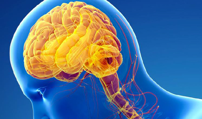 parkinson-disease